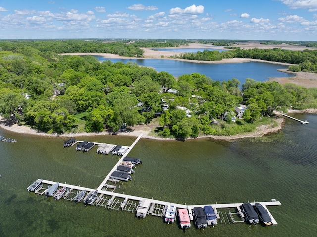 5181 Fish Hook Dr SW Unit 44, Lake Mary Twp, MN 56308 - drone / aerial view of a large body of water and a forest