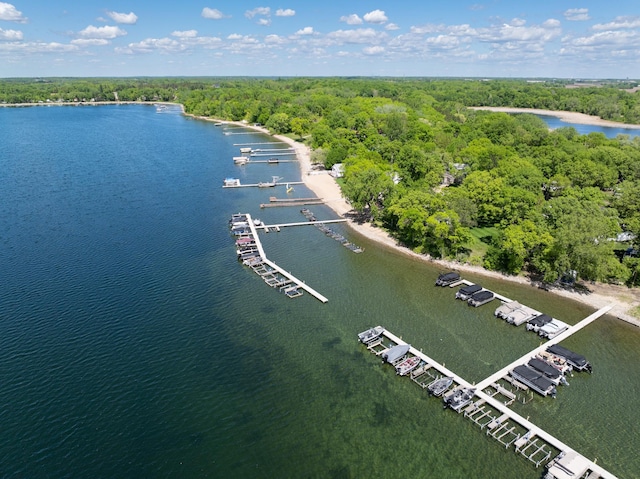 5181 Fish Hook Dr SW Unit 44, Lake Mary Twp, MN 56308 - aerial view of a heavily wooded area and a large body of water