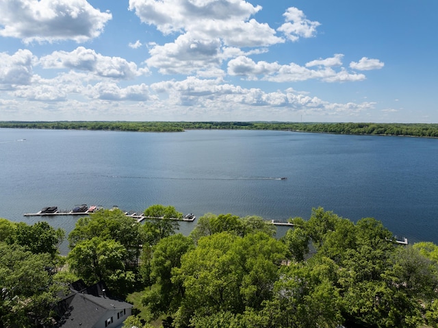 5181 Fish Hook Dr SW Unit 44, Lake Mary Twp, MN 56308 - water view