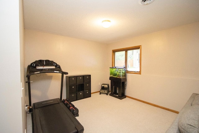 2109 Haughton Ave, North Mankato, MN 56003 - exercise room with carpet and baseboards