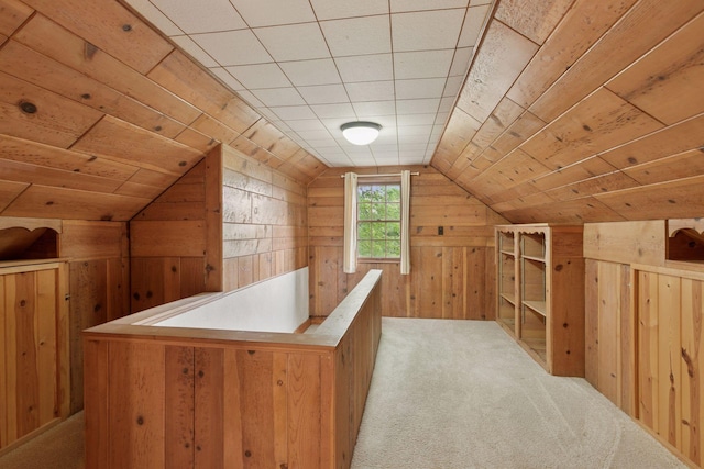 3527 Queen Ave N, Minneapolis, MN 55412 - bonus room featuring wooden walls, vaulted ceiling, and carpet flooring
