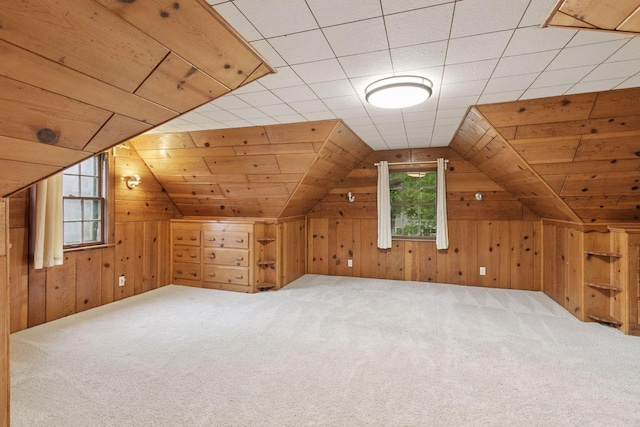 3527 Queen Ave N, Minneapolis, MN 55412 - bonus room featuring vaulted ceiling, wood walls, and carpet floors
