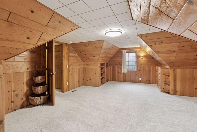 3527 Queen Ave N, Minneapolis, MN 55412 - bonus room with carpet flooring, vaulted ceiling, and wood walls