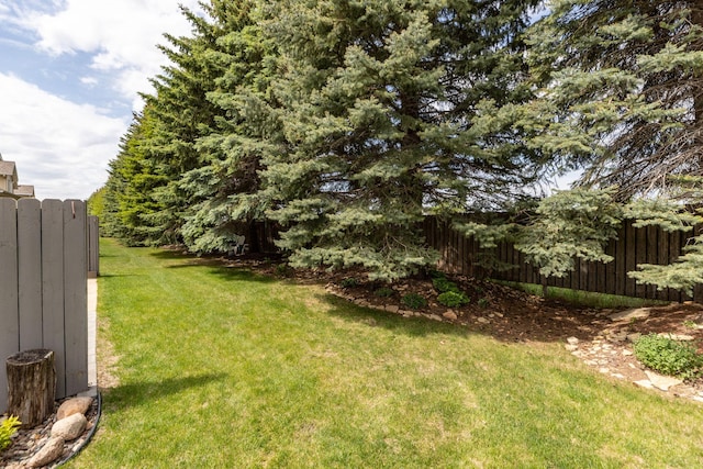 2804 Viola Heights Dr NE, Rochester, MN 55906 - view of yard