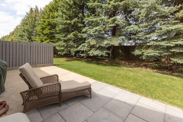 2804 Viola Heights Dr NE, Rochester, MN 55906 - view of patio / terrace