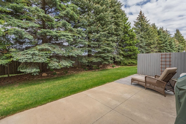 2804 Viola Heights Dr NE, Rochester, MN 55906 - view of patio