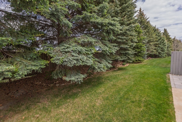 2804 Viola Heights Dr NE, Rochester, MN 55906 - view of yard