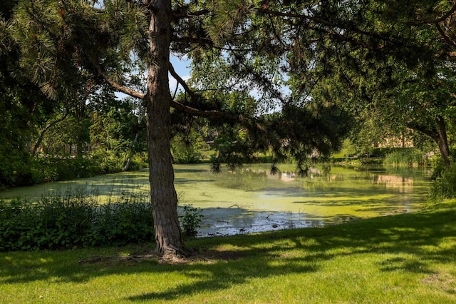 123 Windsor Ct, New Brighton, MN 55112 - water view