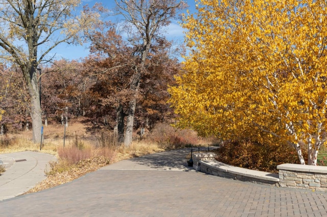 123 Windsor Ct, New Brighton, MN 55112 - view of road