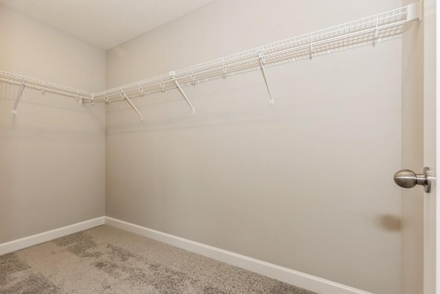 20025 62nd Pl, Corcoran, MN 55340 - spacious closet with carpet flooring