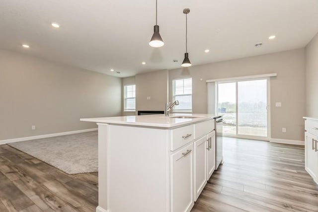 20025 62nd Pl, Corcoran, MN 55340 - kitchen with light wood-type flooring, a sink, dishwasher, open floor plan, and baseboards