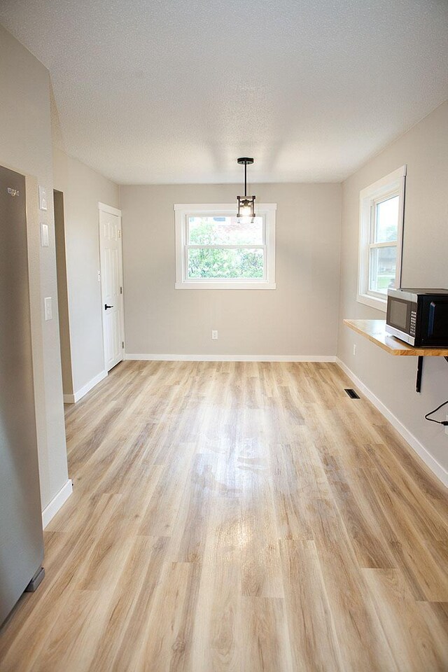 213 Lake Ave, Detroit Lakes, MN 56501 - unfurnished dining area featuring light wood-style flooring, baseboards, and a textured ceiling