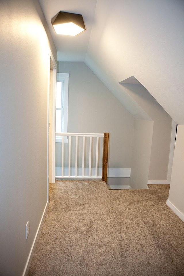 213 Lake Ave, Detroit Lakes, MN 56501 - additional living space with lofted ceiling, carpet flooring, and baseboards