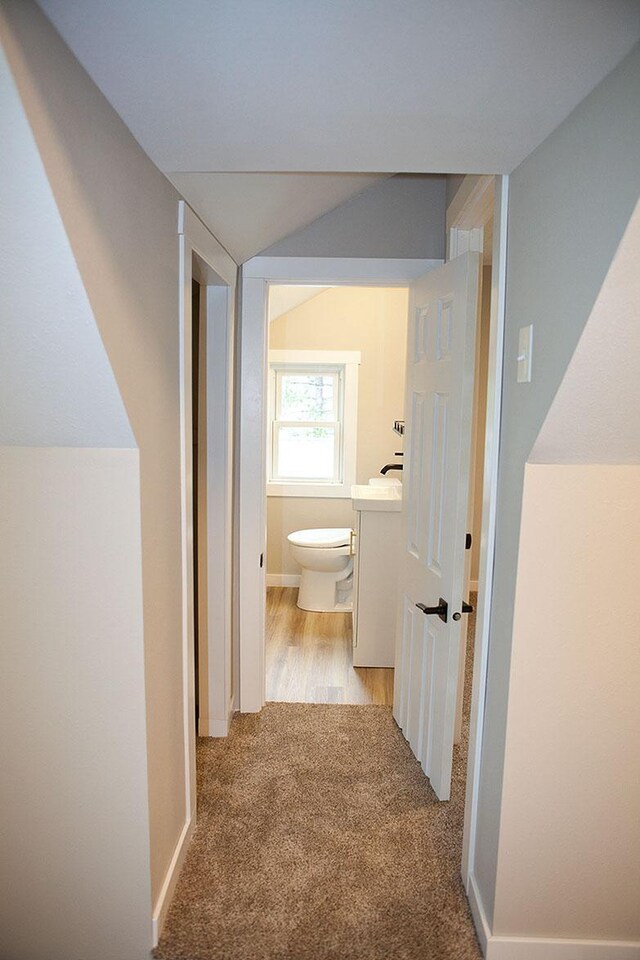213 Lake Ave, Detroit Lakes, MN 56501 - hall featuring light colored carpet and vaulted ceiling