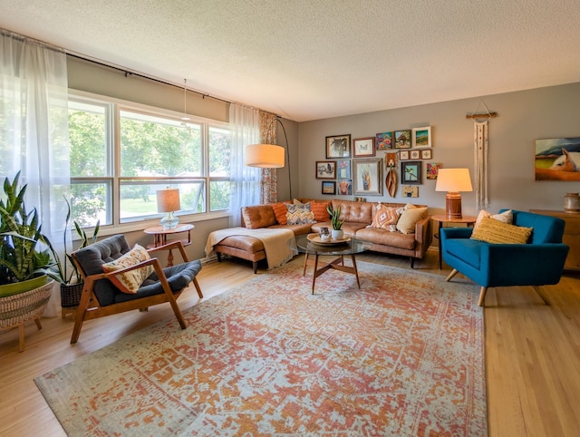 3466 Yukon Ave N, New Hope, MN 55427 - living area with wood finished floors and a textured ceiling