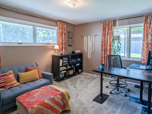 3466 Yukon Ave N, New Hope, MN 55427 - office with carpet and a textured ceiling