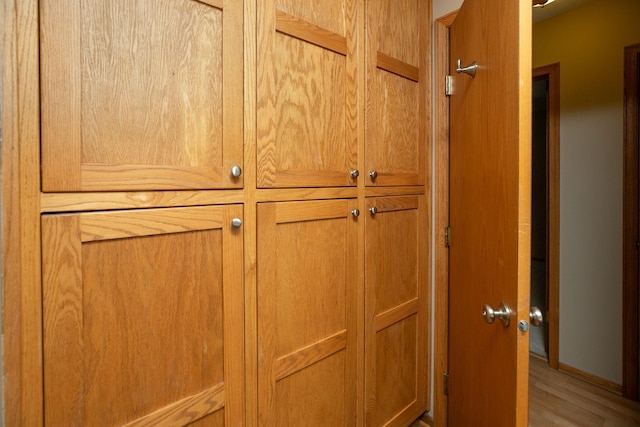 420 Cedar Ct NE, Pine Island, MN 55963 - detailed view of wood finished floors and baseboards