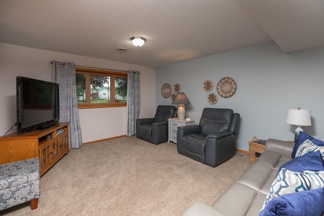 420 Cedar Ct NE, Pine Island, MN 55963 - living area with a textured ceiling, carpet floors, and baseboards