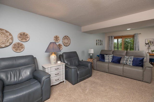 420 Cedar Ct NE, Pine Island, MN 55963 - living area with light colored carpet