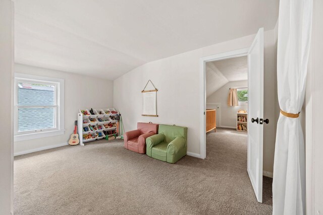 4520 41st Ave S, Minneapolis, MN 55406 - photo 27