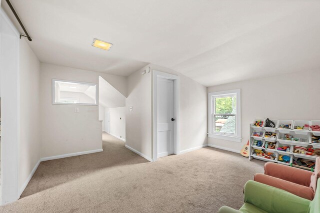 4520 41st Ave S, Minneapolis, MN 55406 - photo 29