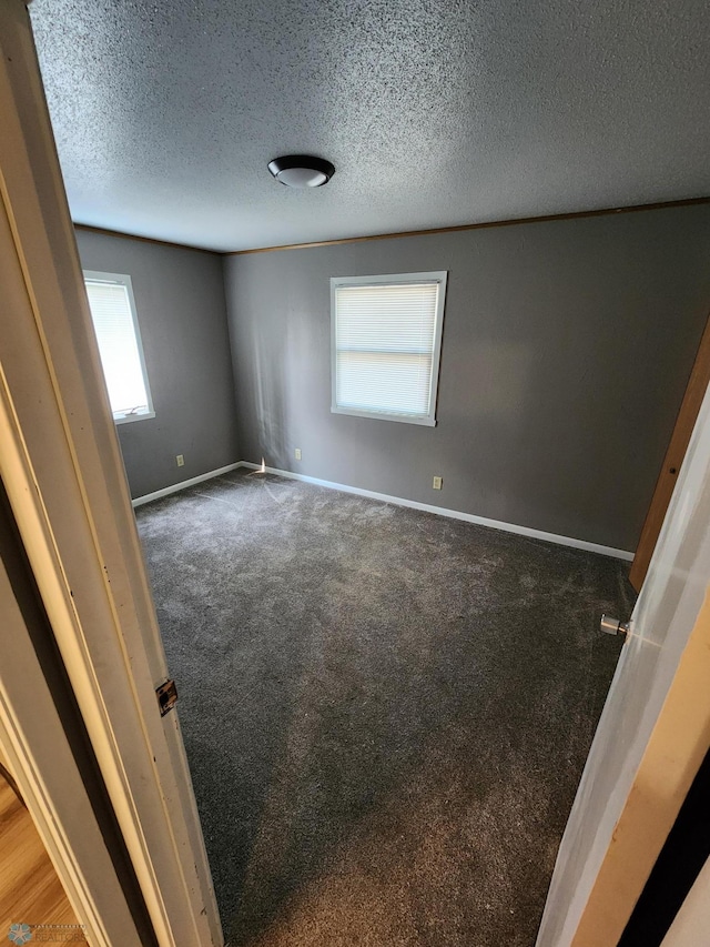 1033 27th St N, Fargo, ND 58102 - empty room with carpet, healthy amount of natural light, a textured ceiling, and baseboards