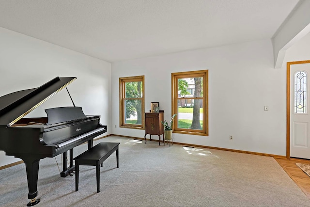 13545 Glasgow Ln, Apple Valley, MN 55124 - living area featuring plenty of natural light and baseboards