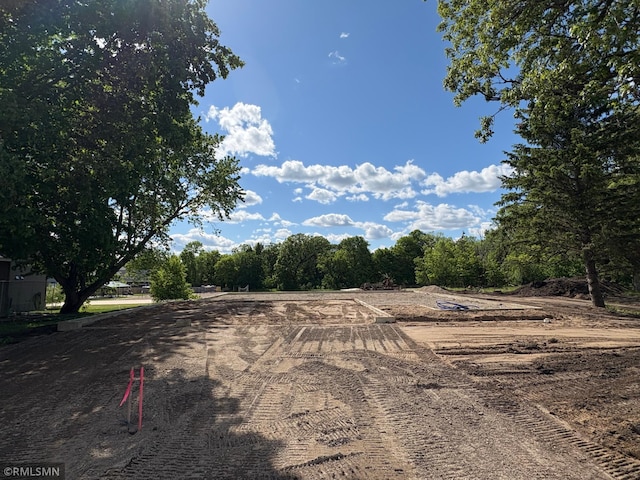 820 Morrison Ave S, Annandale, MN 55302 - view of yard