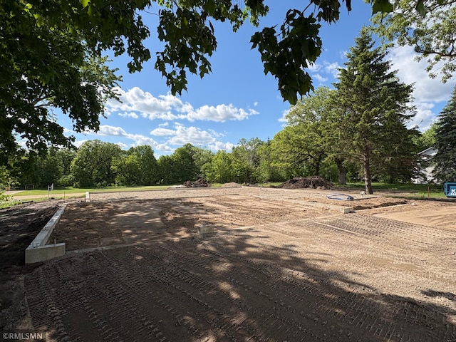 820 Morrison Ave S, Annandale, MN 55302 - view of yard