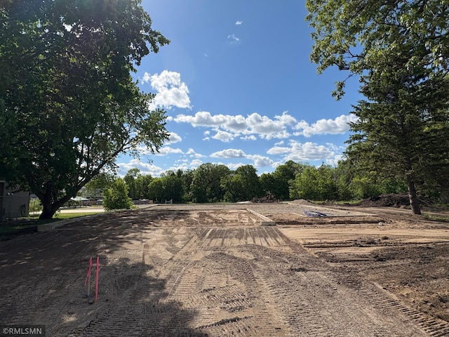 820 Morrison Ave S, Annandale, MN 55302 - view of yard