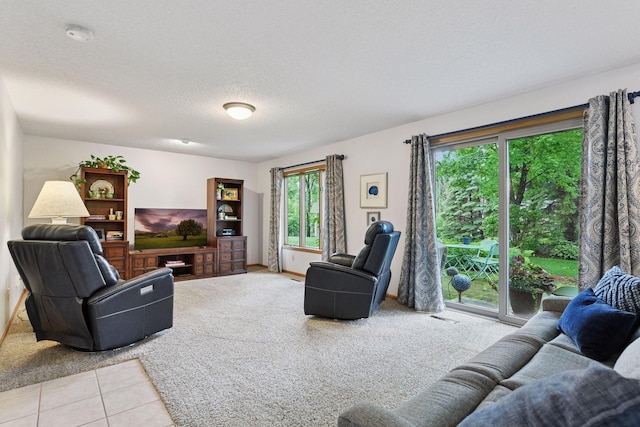 1378 Dunsmore Dr, Waconia, MN 55387 - living area with carpet floors, a textured ceiling, and tile patterned flooring