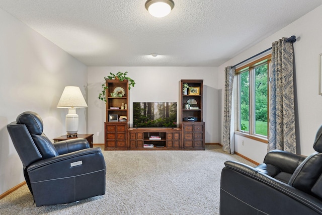 1378 Dunsmore Dr, Waconia, MN 55387 - carpeted living room featuring a textured ceiling and baseboards