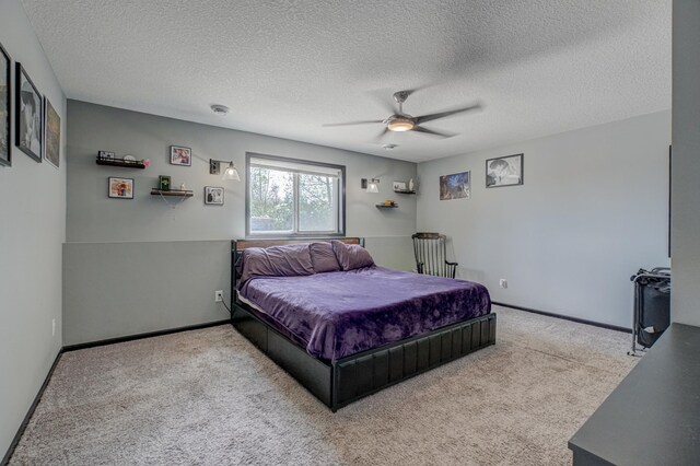 17690 Clayton Ave E, Vermillion Twp, MN 55068 - carpeted bedroom with ceiling fan, baseboards, and a textured ceiling