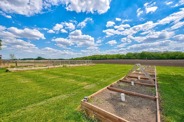 17690 Clayton Ave E, Vermillion Twp, MN 55068 - view of yard with a garden and a view of countryside