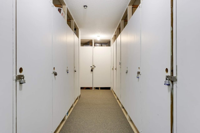 3461 Kent St Unit 1104, Shoreview, MN 55126 - view of hallway