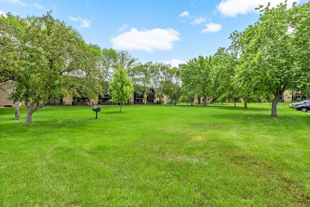 3461 Kent St Unit 1104, Shoreview, MN 55126 - view of grassy yard