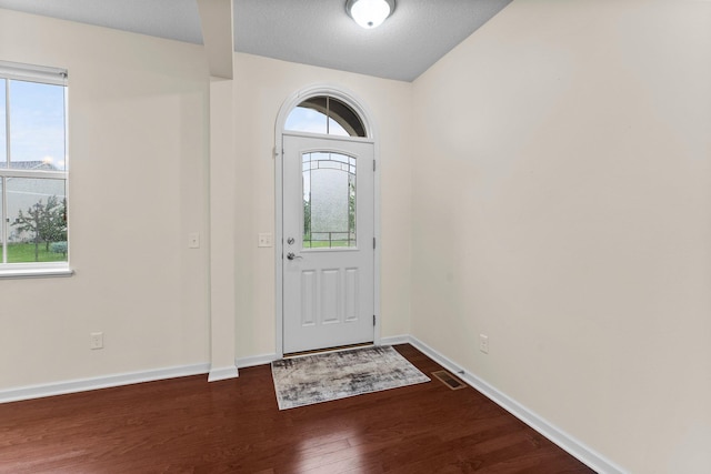 14111 Abercorn Ave, Rosemount, MN 55068 - entryway with dark wood-style floors, plenty of natural light, and baseboards