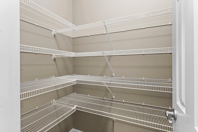 14111 Abercorn Ave, Rosemount, MN 55068 - view of pantry