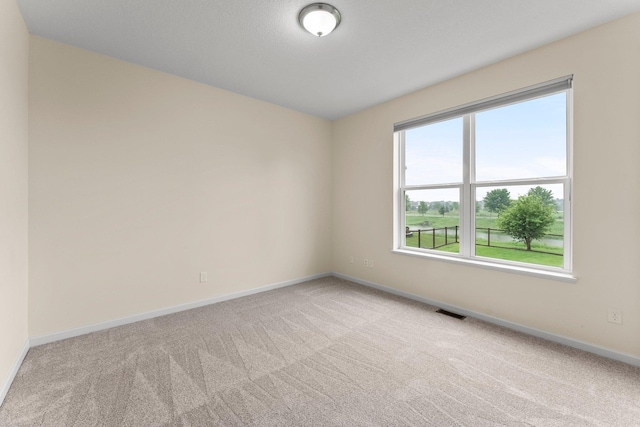 14111 Abercorn Ave, Rosemount, MN 55068 - carpeted empty room featuring baseboards