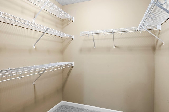 14111 Abercorn Ave, Rosemount, MN 55068 - spacious closet featuring carpet floors