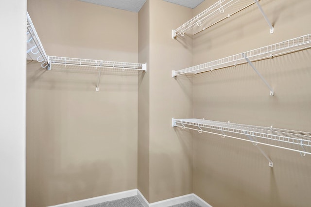 14111 Abercorn Ave, Rosemount, MN 55068 - view of walk in closet