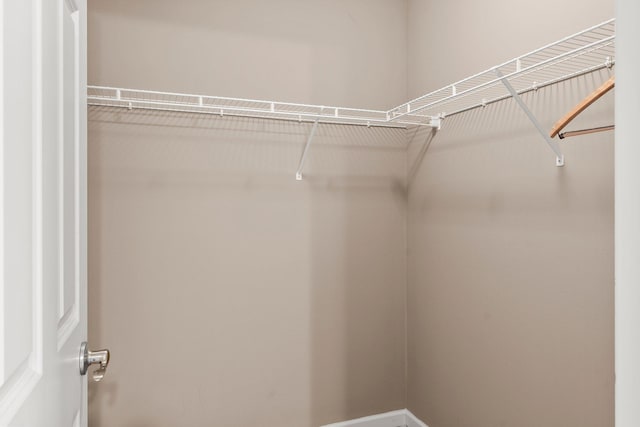 14111 Abercorn Ave, Rosemount, MN 55068 - view of walk in closet