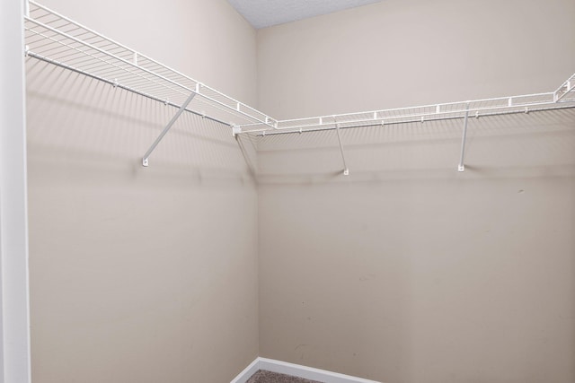 14111 Abercorn Ave, Rosemount, MN 55068 - spacious closet with carpet flooring