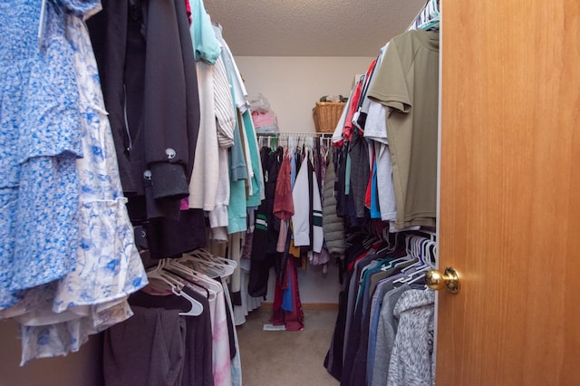 1810 41st Ave S, Moorhead, MN 56560 - walk in closet with carpet