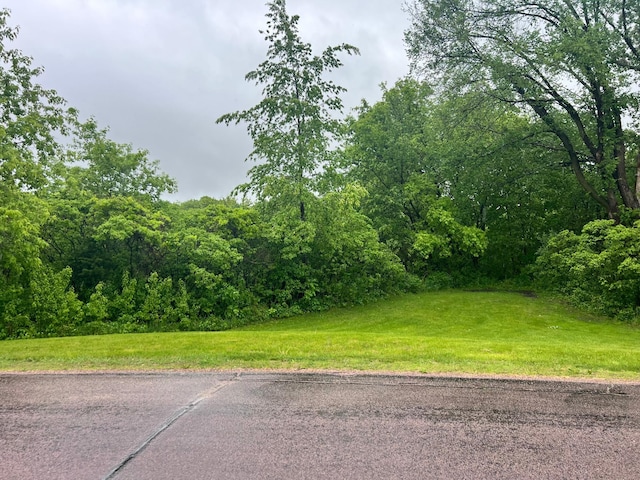 TBD Birch Bluff Dr, North Mankato, MN 56003