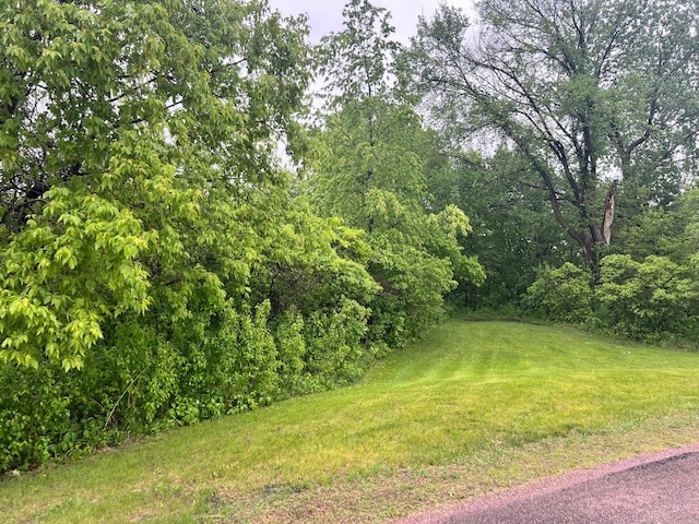 TBD Birch Bluff Dr, North Mankato, MN 56003