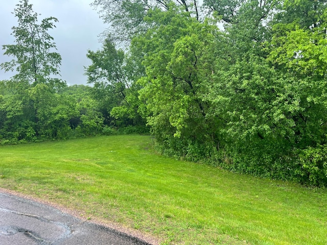 TBD Birch Bluff Dr, North Mankato, MN 56003