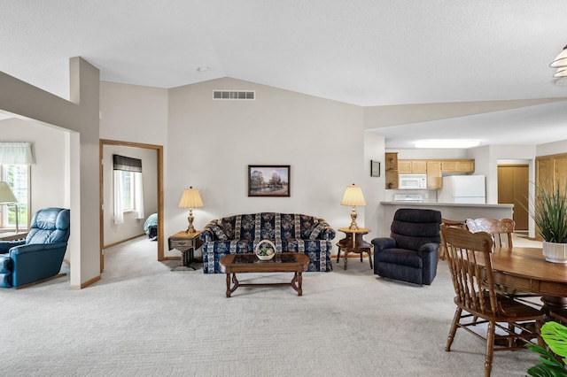 12 3rd St NW, Saint Michael, MN 55376 - living area with vaulted ceiling and light carpet