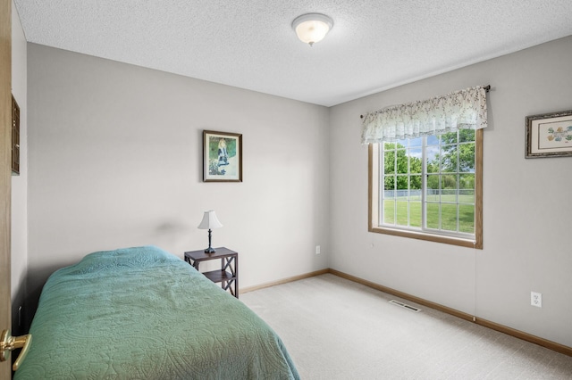 12 3rd St NW, Saint Michael, MN 55376 - bedroom with carpet flooring and a textured ceiling