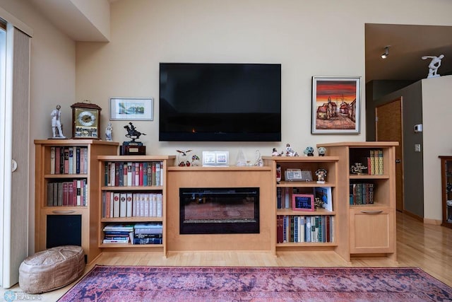 404 8th St S Unit 303, Fargo, ND 58103 - living room with a glass covered fireplace and wood finished floors